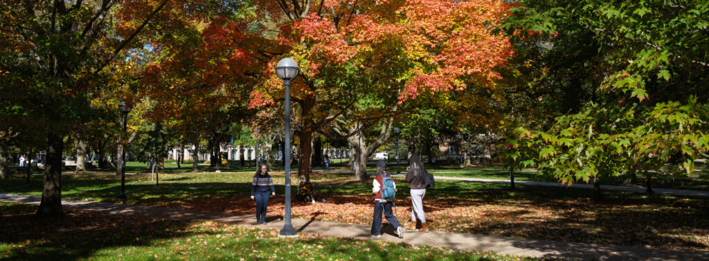 A group of students walk along a shaded, paved walkway near the U-M Diag bordered by large trees in peak autumn color, including vivid shades of green, yellow, orange, and red.